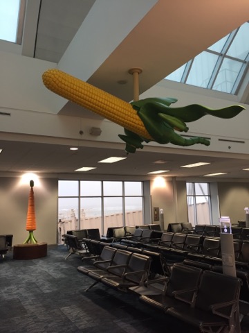 Corn on the ceiling